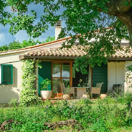 House Boris Apartman Loborika Kültér fotó