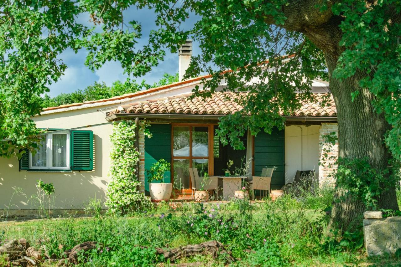 House Boris Apartman Loborika Kültér fotó